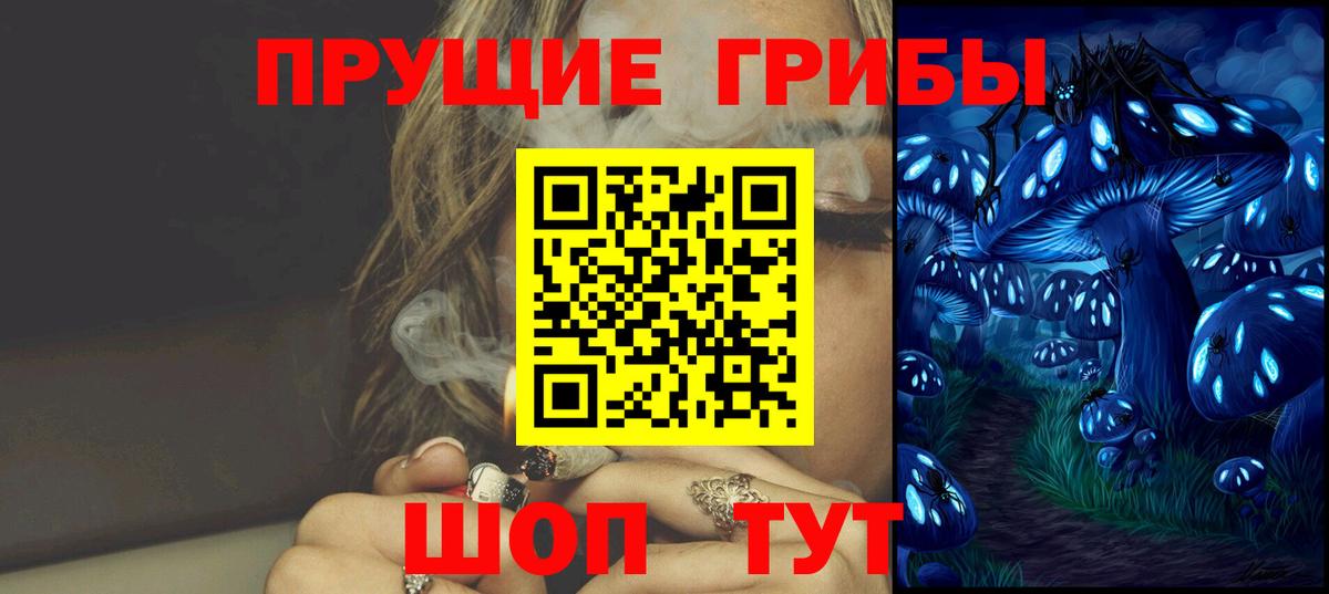 Пушкино  Псилоцибиновые грибы Psilocybine cubensis  где купить   Вход с VPN 